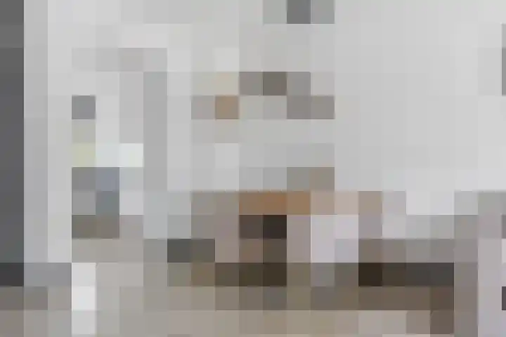 Laan van Ouderzorg 259 Leiderdorp thumbnail 8