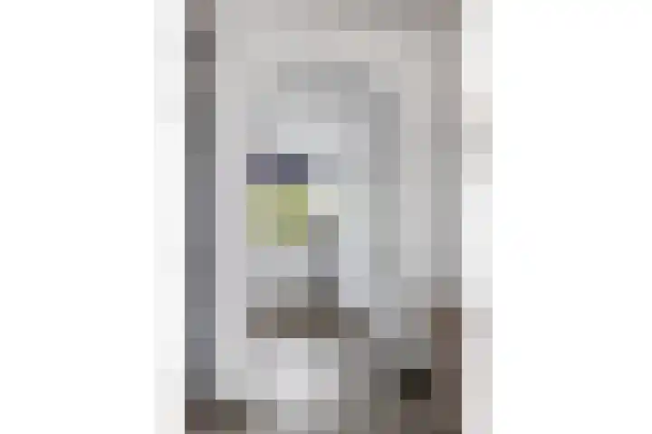 Laan van Ouderzorg 259 Leiderdorp thumbnail 9