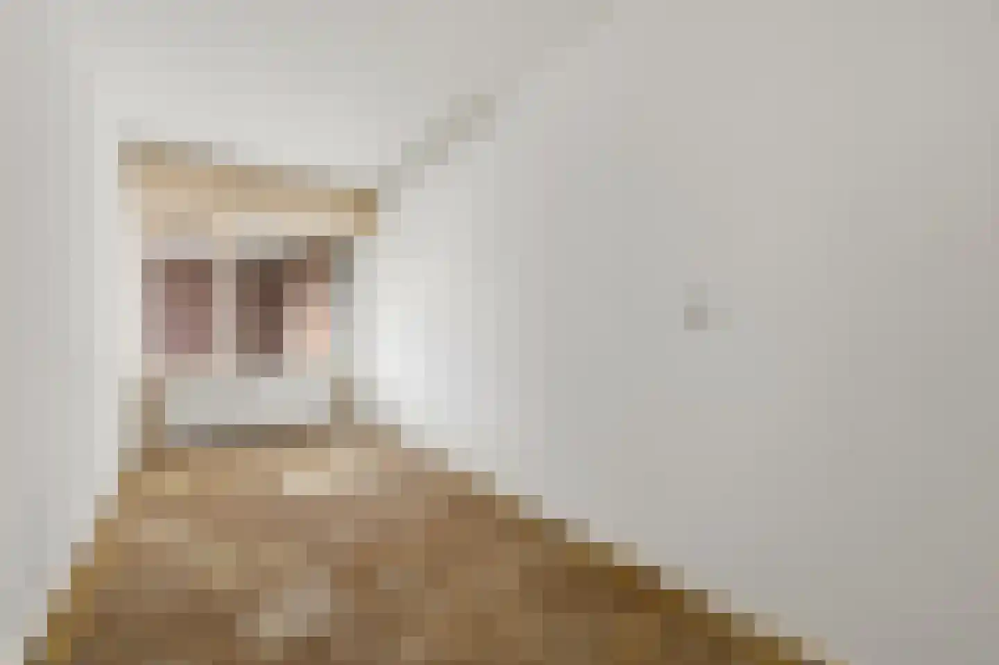 Laan van Ouderzorg 40 Leiderdorp thumbnail 12