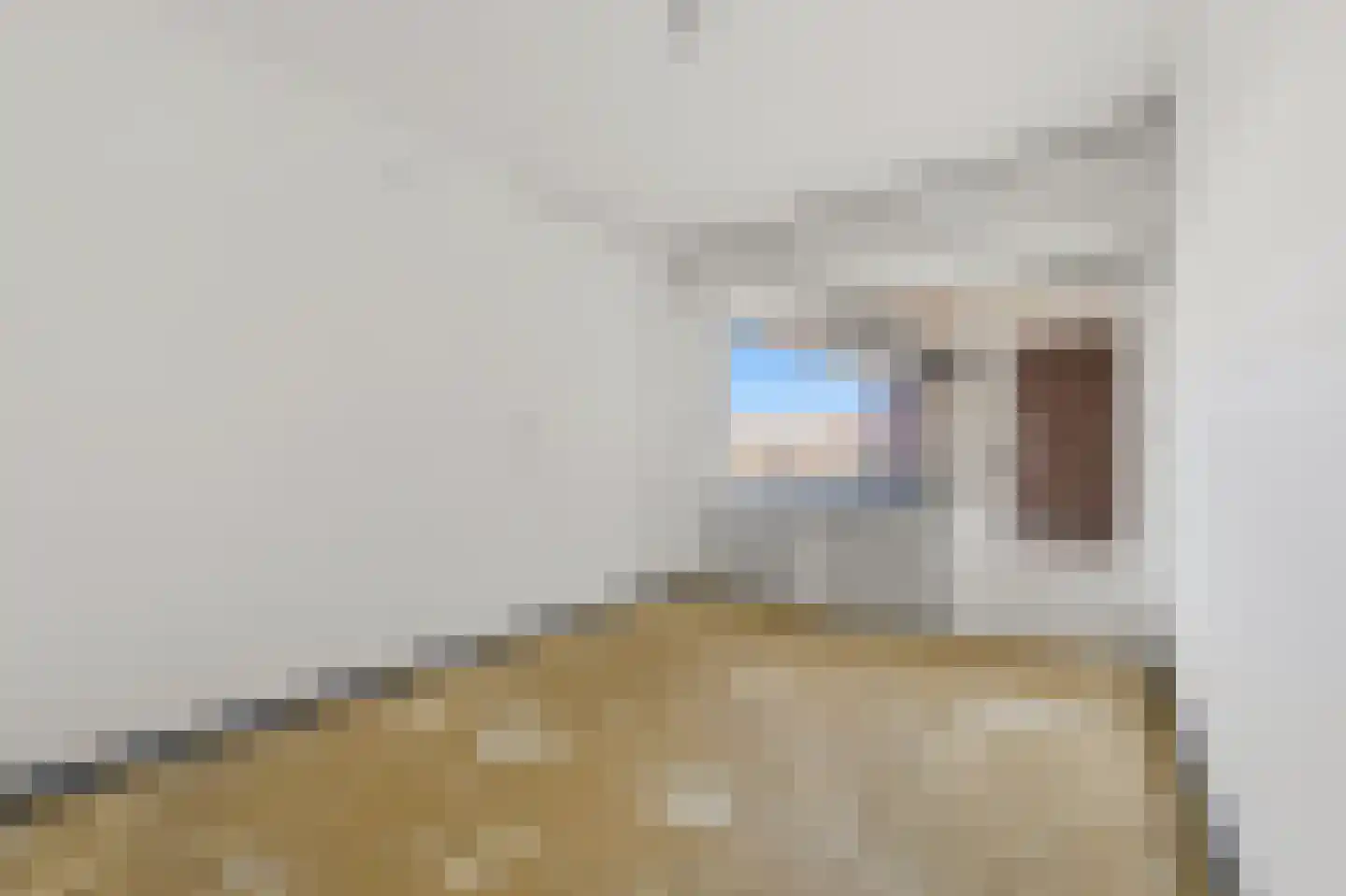 Laan van Ouderzorg 40 Leiderdorp thumbnail 14