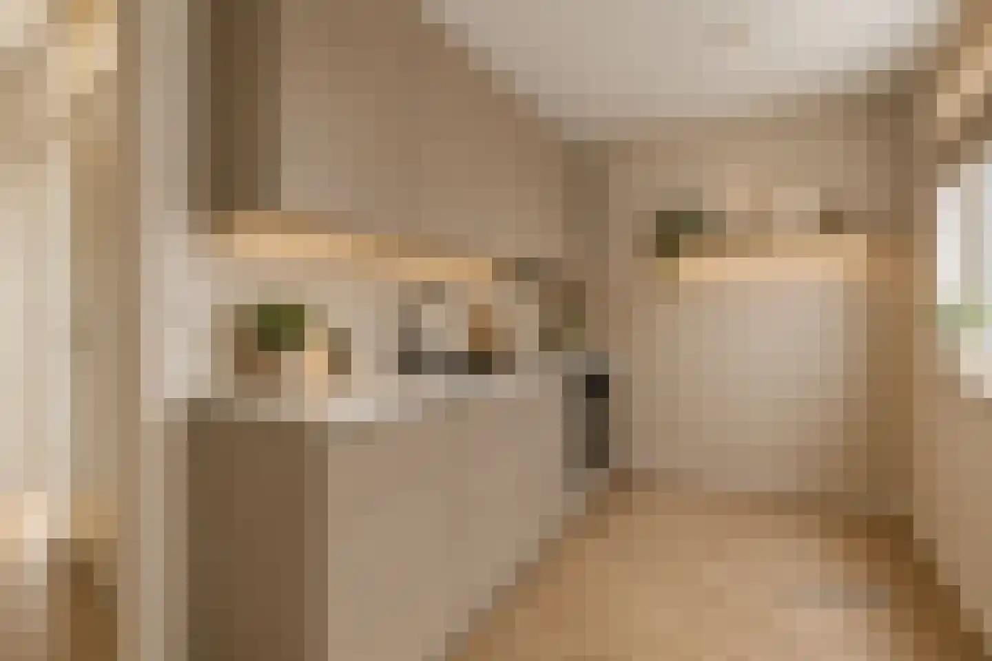 Laan van Ouderzorg 40 Leiderdorp thumbnail 7