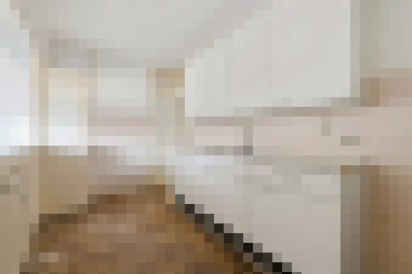 Laan van Ouderzorg 40 Leiderdorp thumbnail 8