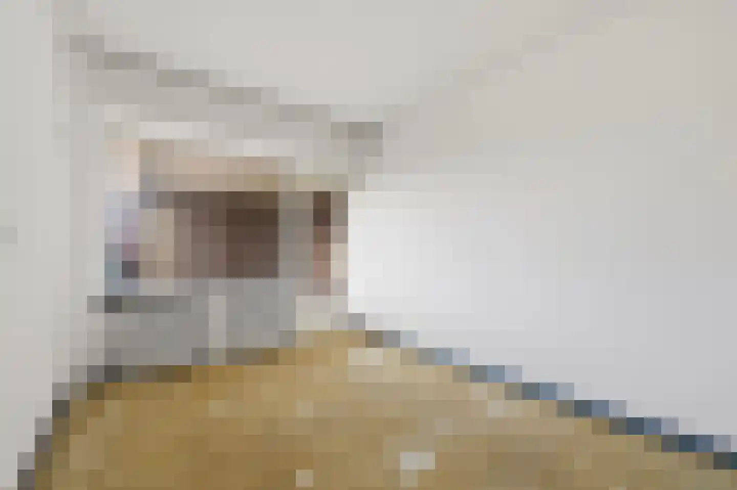 Laan van Ouderzorg 40 Leiderdorp thumbnail 9