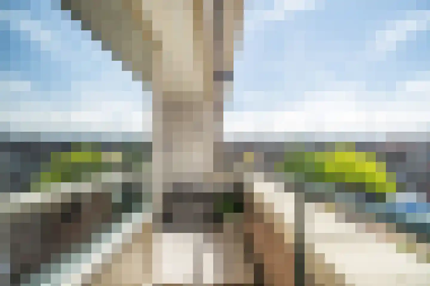 Laan van Ouderzorg 42 Leiderdorp thumbnail 31
