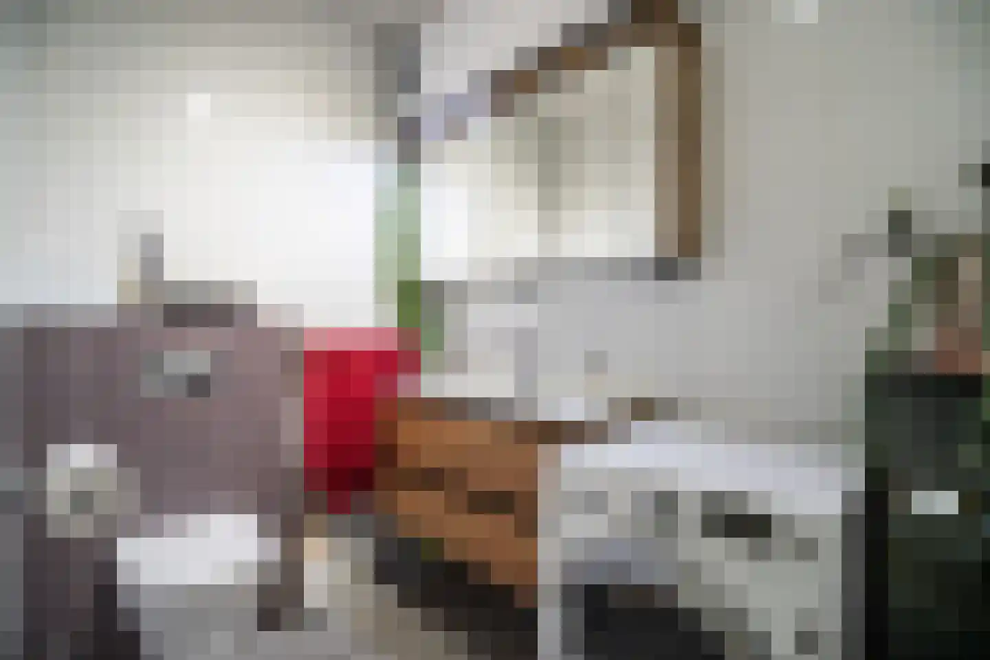 Laan van Ouderzorg 42 Leiderdorp thumbnail 34