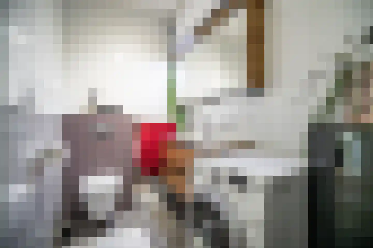 Laan van Ouderzorg 42 Leiderdorp thumbnail 37