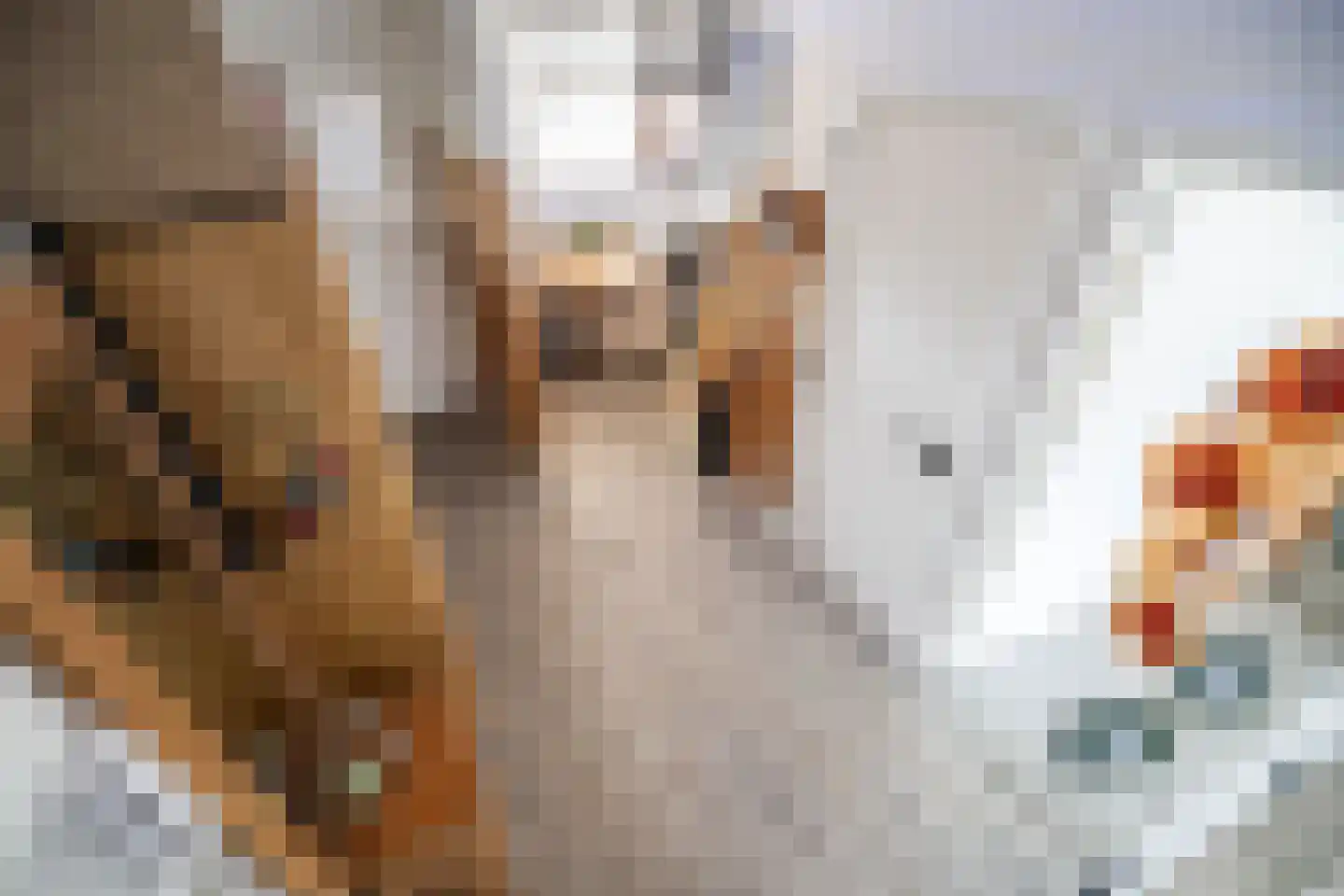 Laan van Ouderzorg 42 Leiderdorp thumbnail 4