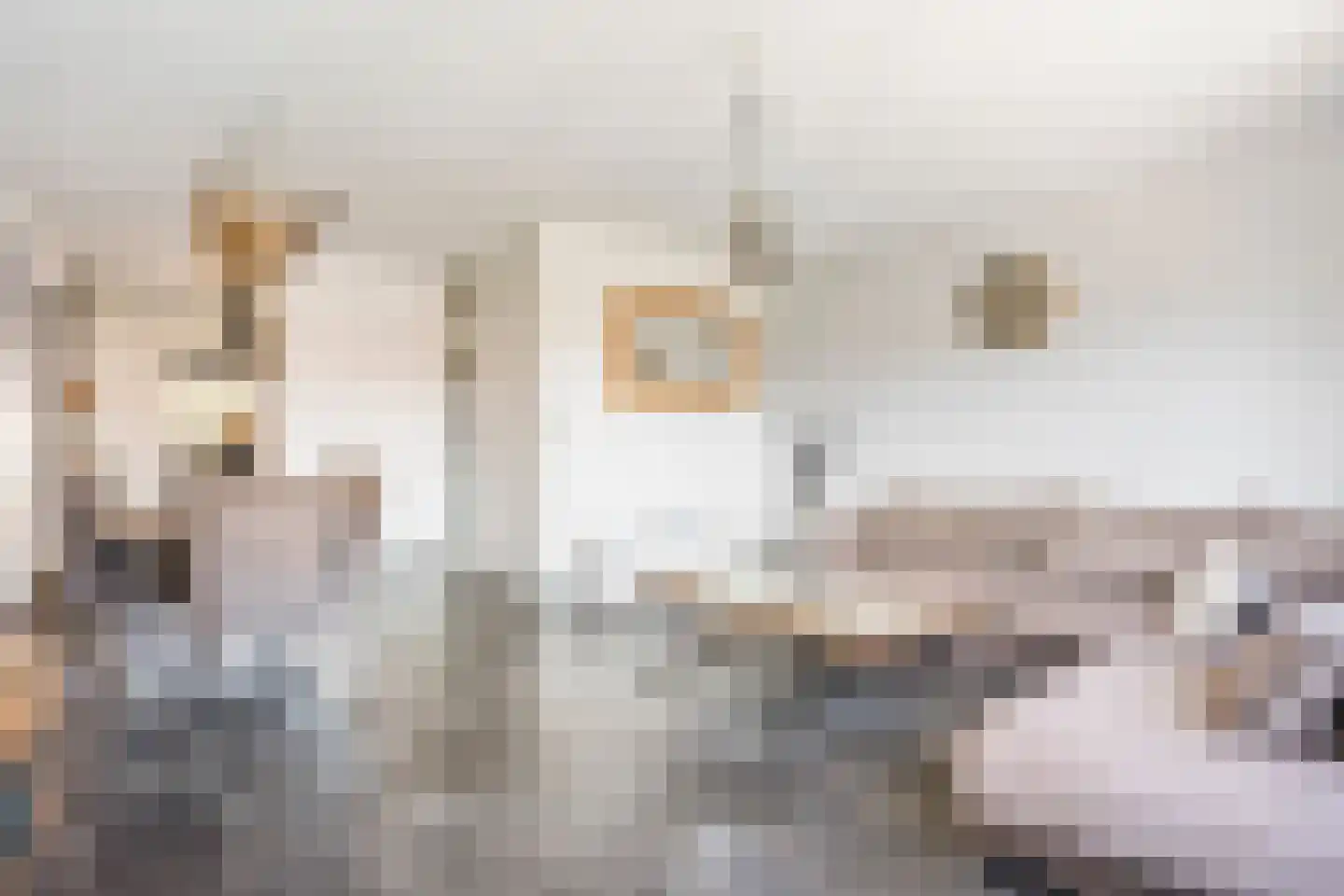 Laan van Ouderzorg 44 Leiderdorp foto 2