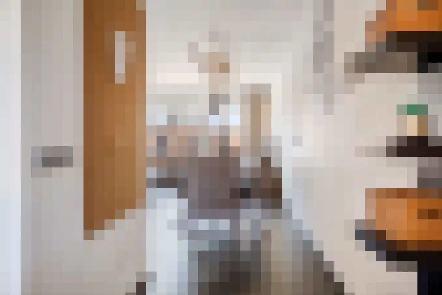 Laan van Ouderzorg 44 Leiderdorp thumbnail 8