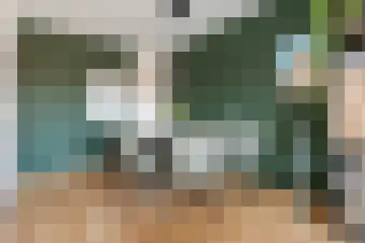 Laan van Ouderzorg 50 Leiderdorp thumbnail 4