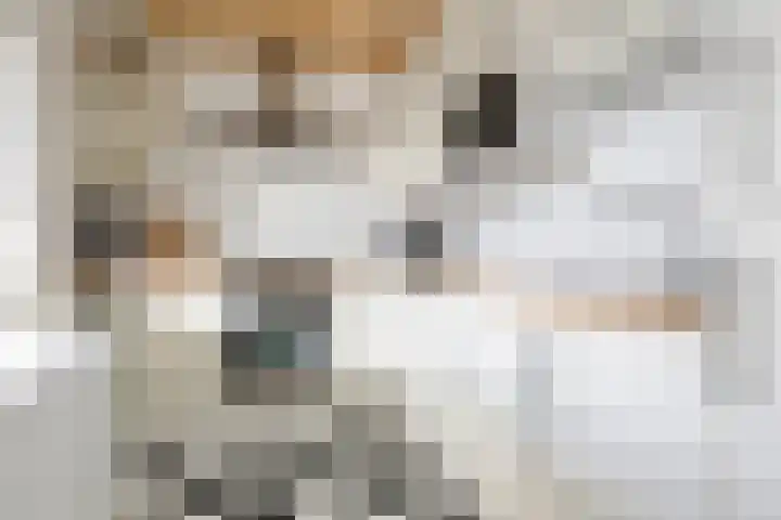 Laan van Ouderzorg 50 Leiderdorp thumbnail 9