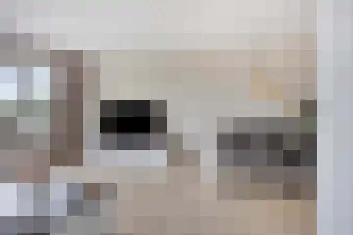 Laan van Ouderzorg 58 Leiderdorp thumbnail 10