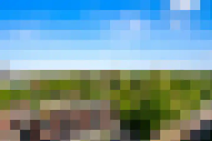 Laan van Ouderzorg 92 Leiderdorp thumbnail 11