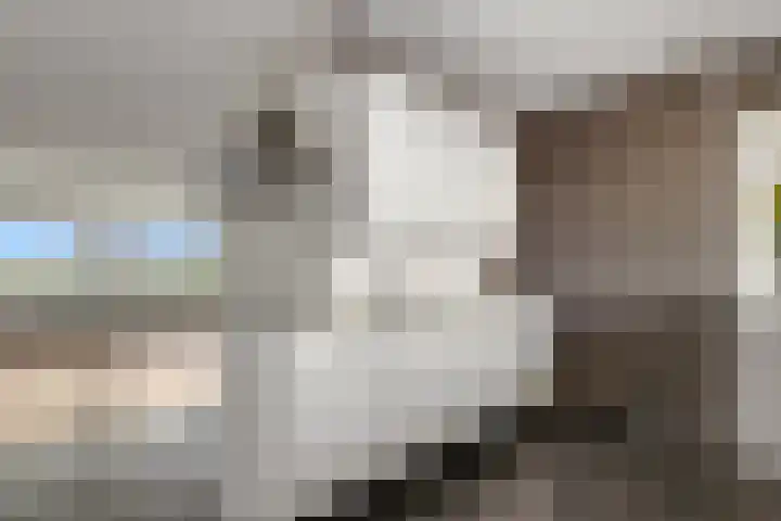 Laan van Ouderzorg 92 Leiderdorp thumbnail 13