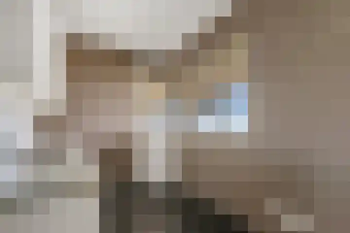 Laan van Ouderzorg 92 Leiderdorp thumbnail 16