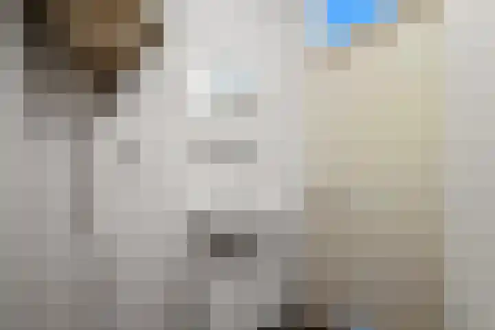 Laan van Ouderzorg 92 Leiderdorp thumbnail 25