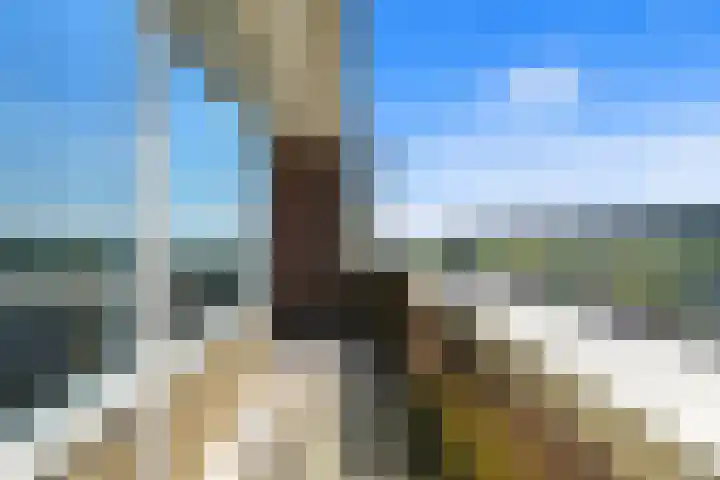 Laan van Ouderzorg 92 Leiderdorp thumbnail 31