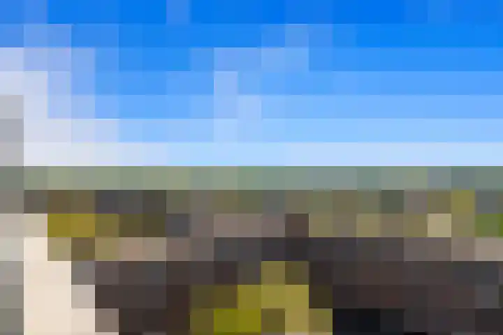 Laan van Ouderzorg 92 Leiderdorp thumbnail 34