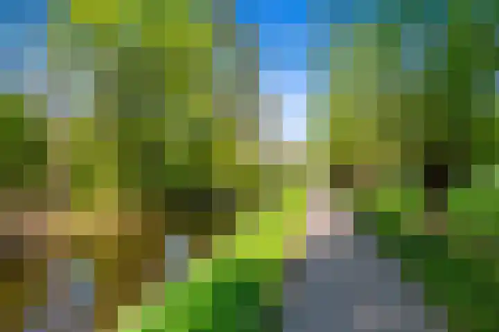 Laan van Ouderzorg 92 Leiderdorp thumbnail 39