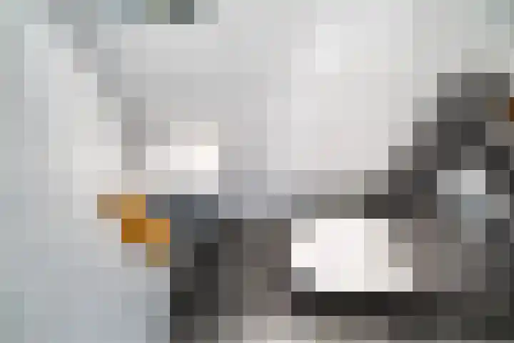 Laan van Ouderzorg 99 Leiderdorp thumbnail 14