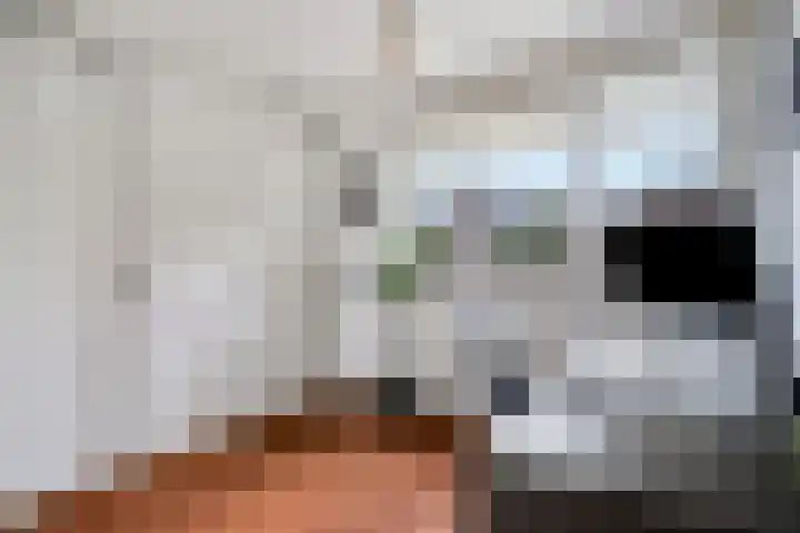 Laan van Ouderzorg 99 Leiderdorp thumbnail 16