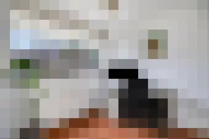 Laan van Ouderzorg 99 Leiderdorp thumbnail 17