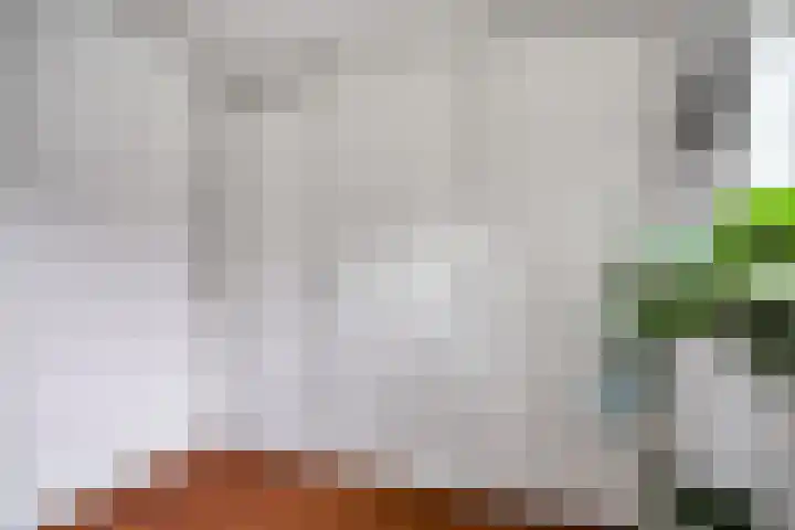 Laan van Ouderzorg 99 Leiderdorp thumbnail 18