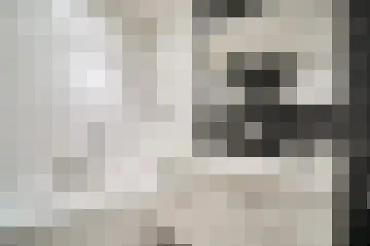 Laan van Ouderzorg 99 Leiderdorp thumbnail 35