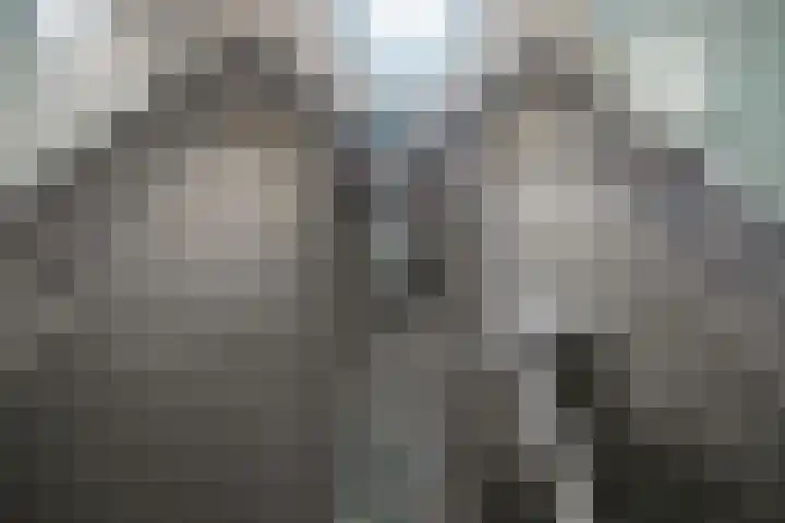 Laan van Ouderzorg 99 Leiderdorp thumbnail 38