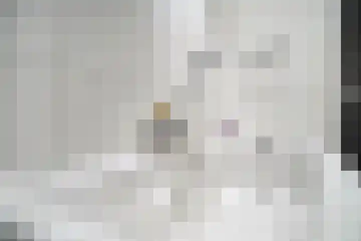 Laan van Ouderzorg 99 Leiderdorp thumbnail 39