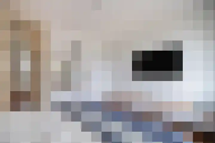 Laan van Ouderzorg 99 Leiderdorp thumbnail 43