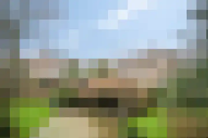 Laan van Ouderzorg 99 Leiderdorp thumbnail 46