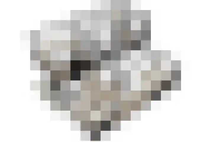 Laan van Ouderzorg 99 Leiderdorp thumbnail 55