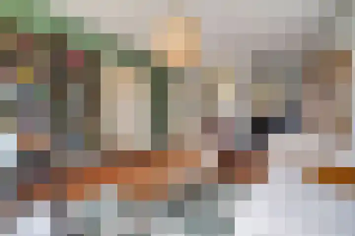 Laan van Ouderzorg 99 Leiderdorp thumbnail 7