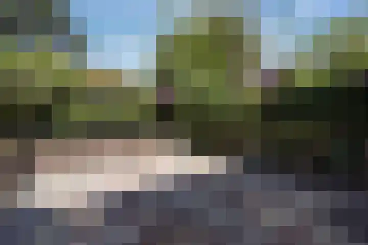 Laan van Overvest 1 C Delft thumbnail 4