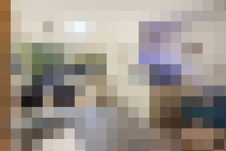 Laan van Overvest 1 C Delft thumbnail 8