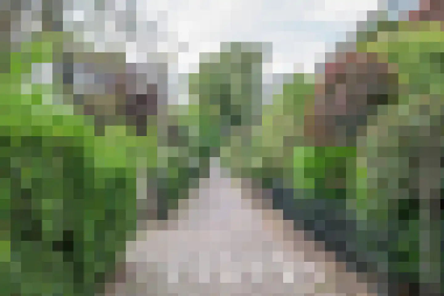 Laan van Overvest 1 Delft thumbnail 4