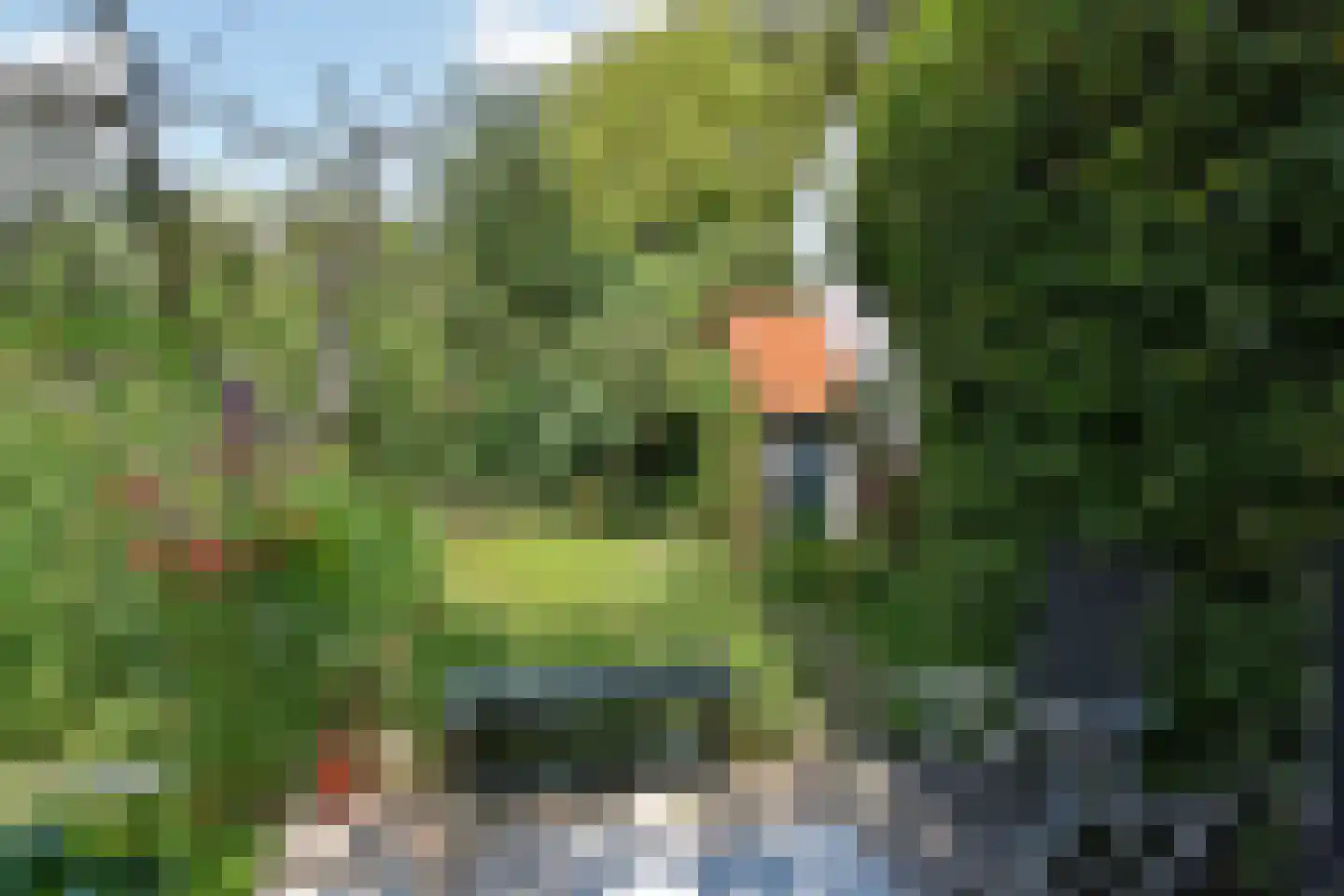 Laan van Overvest 20 Delft thumbnail 30