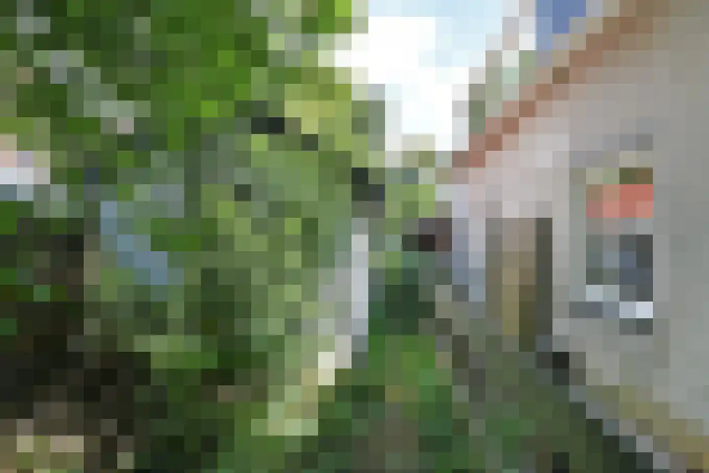 Laan van Overvest 20 Delft thumbnail 38