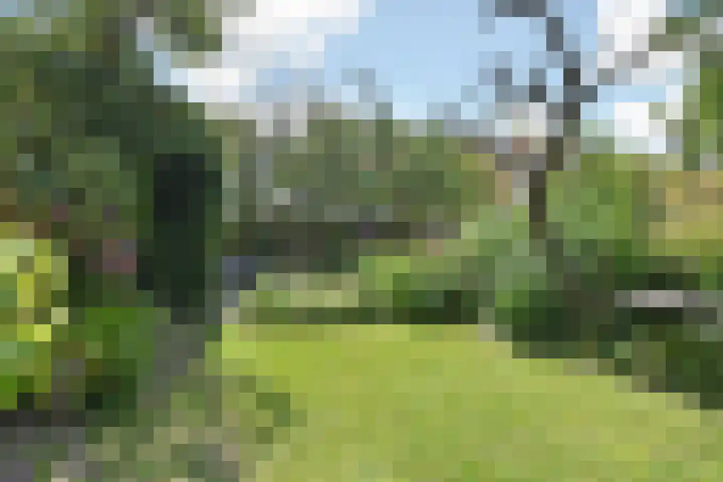 Laan van Overvest 20 Delft thumbnail 5