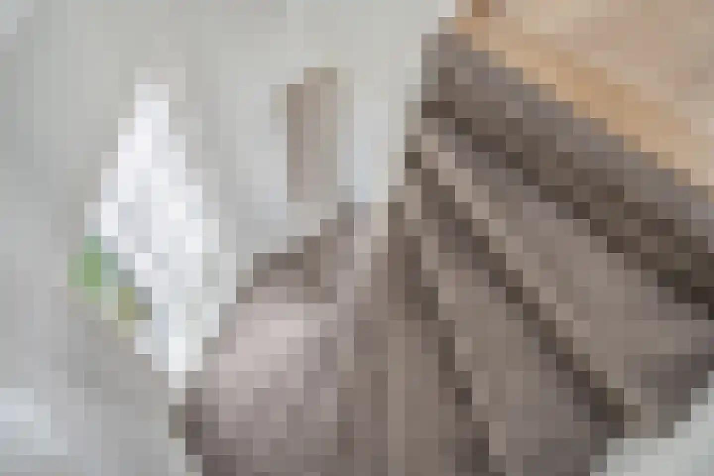 Laan van Overvest 24 Delft thumbnail 33