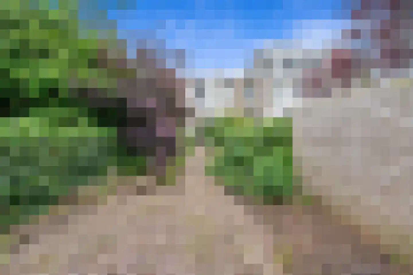Laan van Overvest 56 Delft thumbnail 23