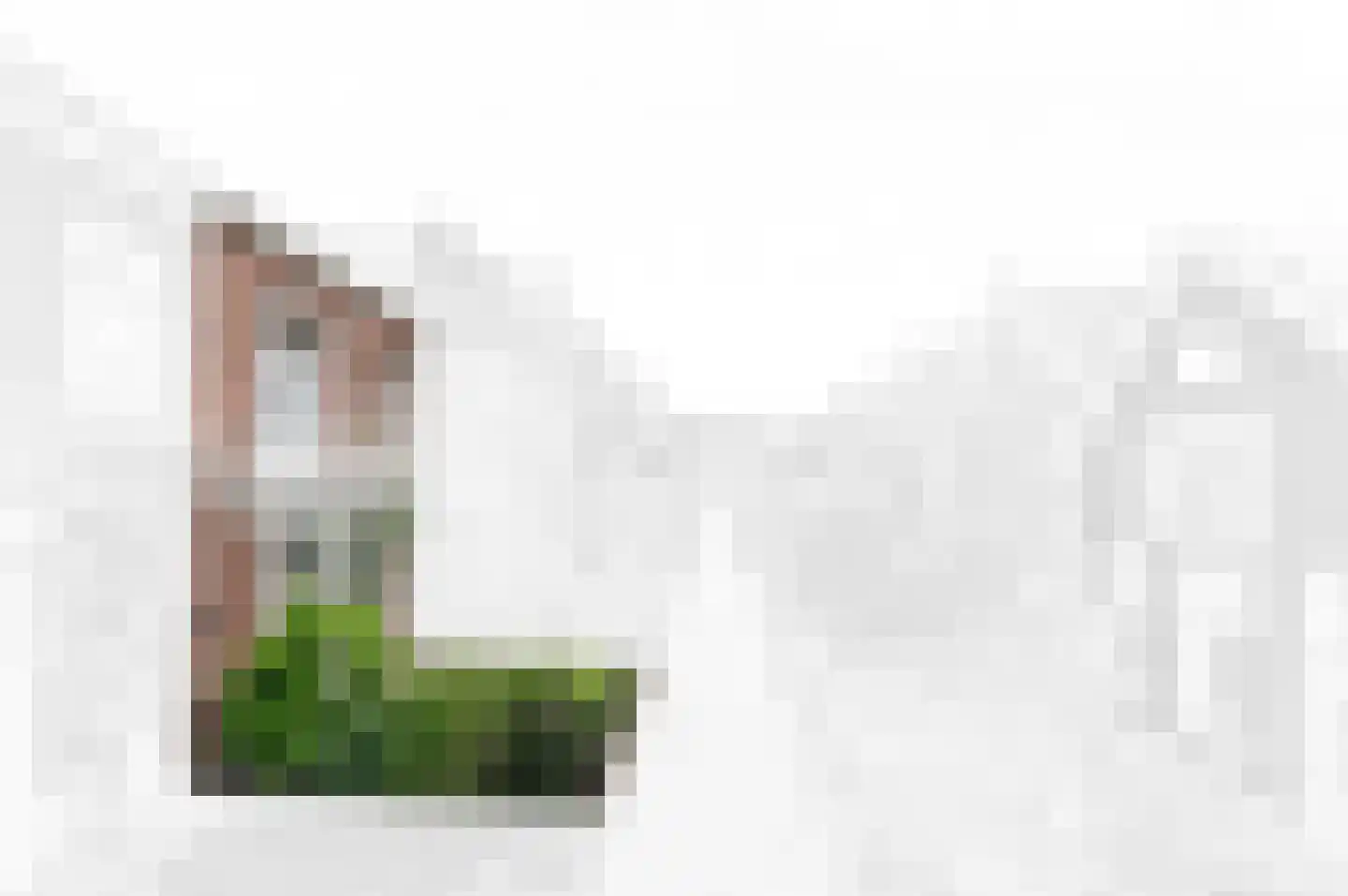 Laan van Overvest 56 Delft thumbnail 7