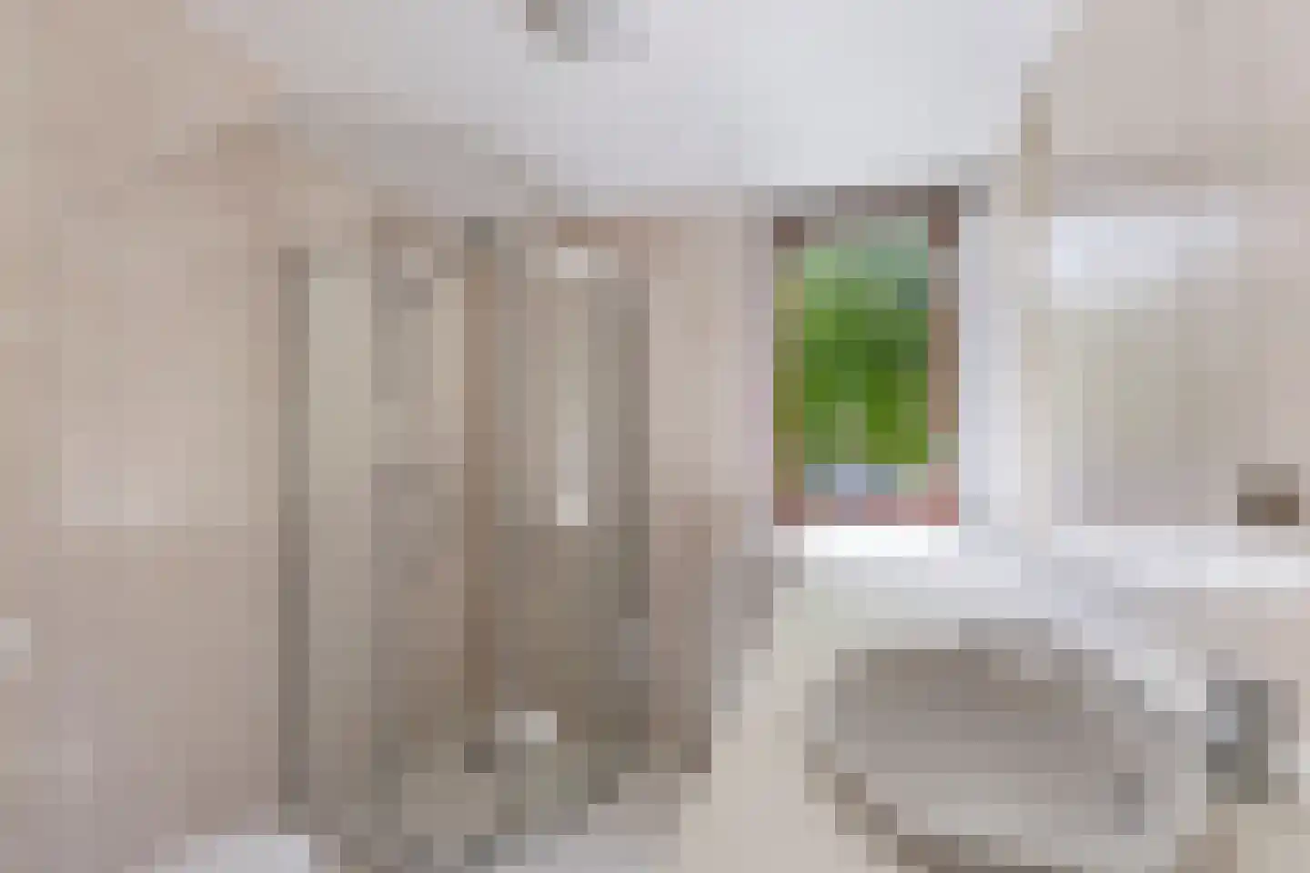 Laan van Parijs 120 Alkmaar thumbnail 18