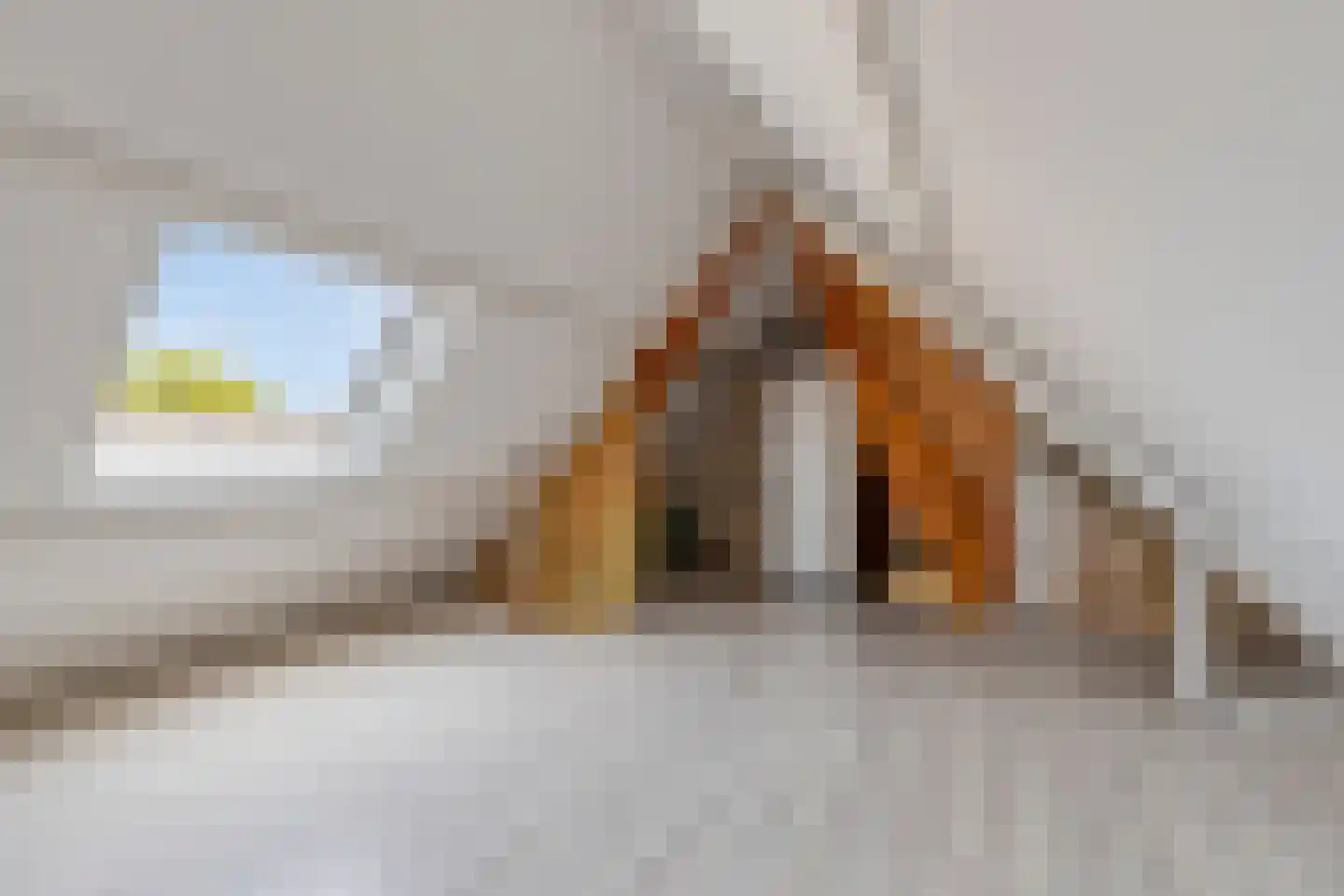 Laan van Parijs 120 Alkmaar thumbnail 20