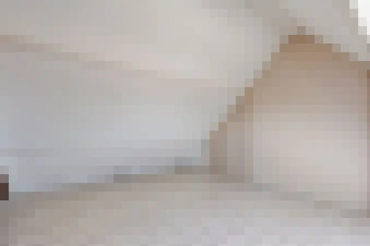 Laan van Parijs 120 Alkmaar thumbnail 22