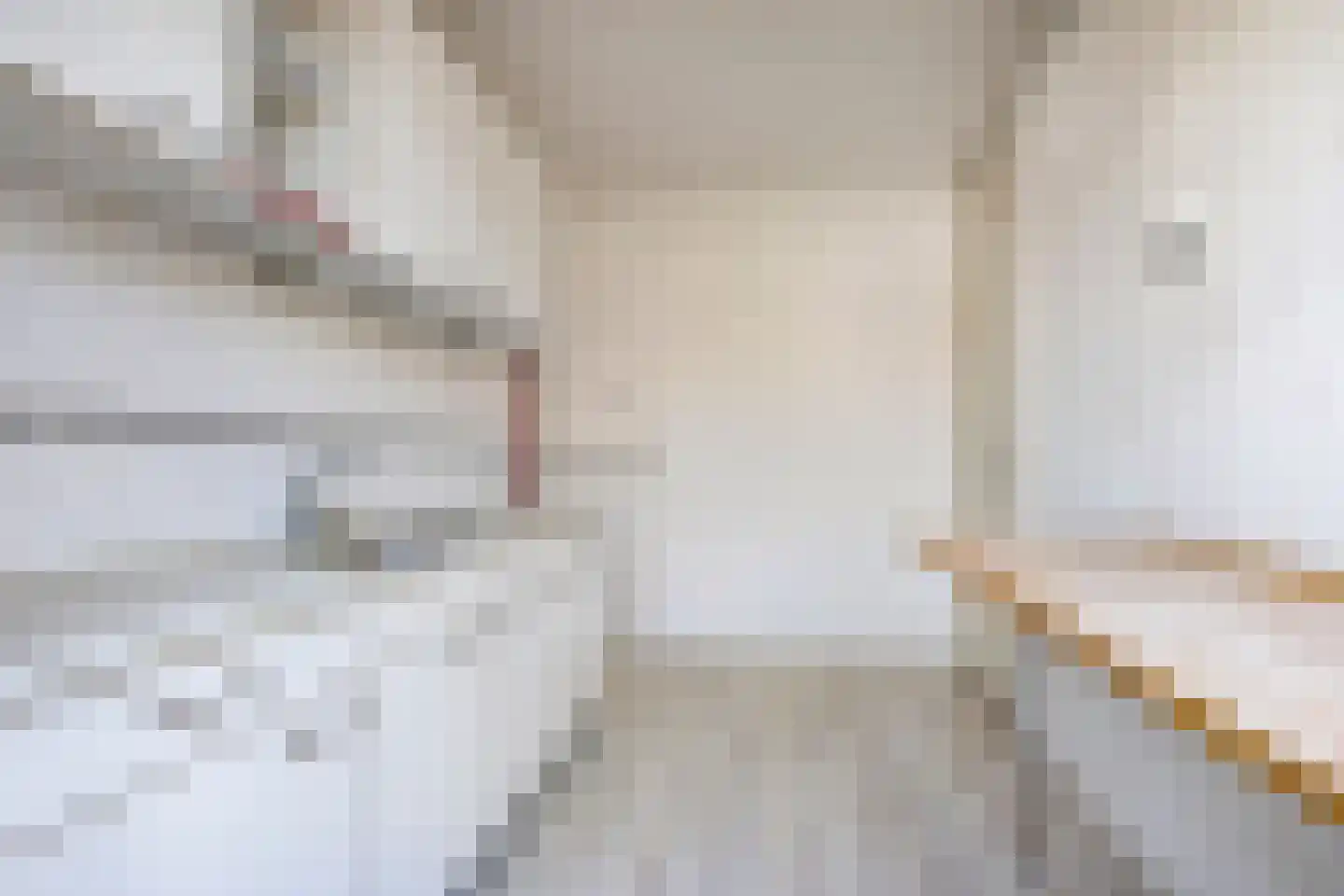 Laan van Parijs 120 Alkmaar thumbnail 9