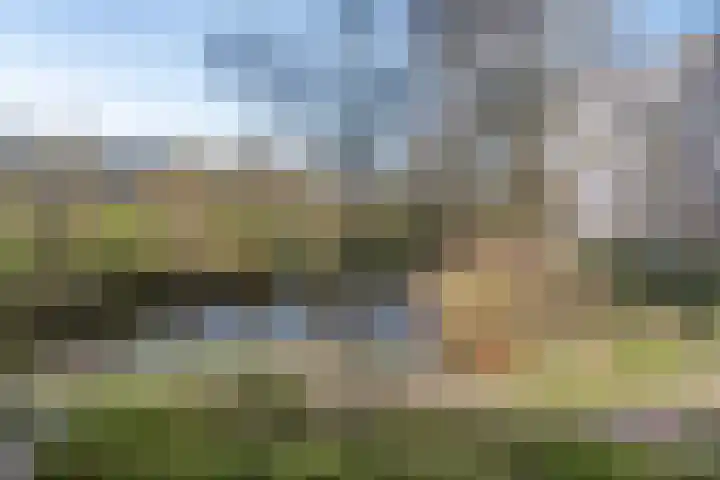 Laan van Parijs 120 Haarlem thumbnail 10