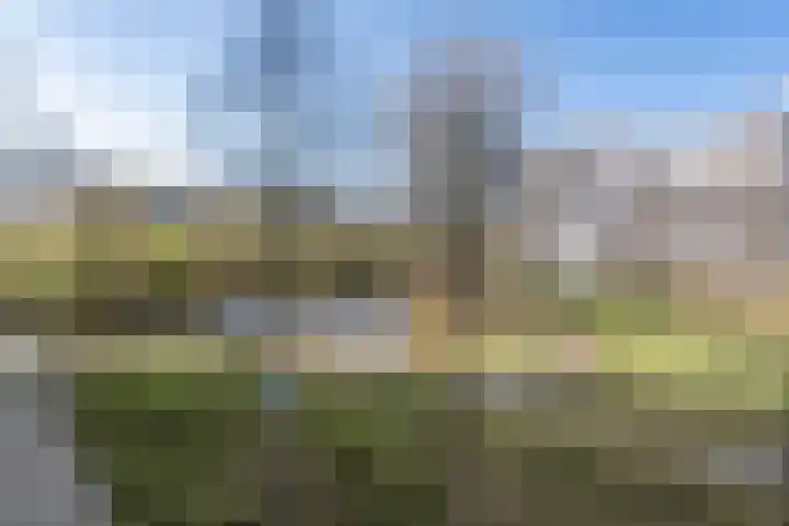 Laan van Parijs 120 Haarlem thumbnail 11