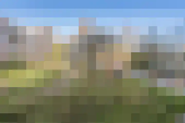 Laan van Parijs 120 Haarlem thumbnail 12